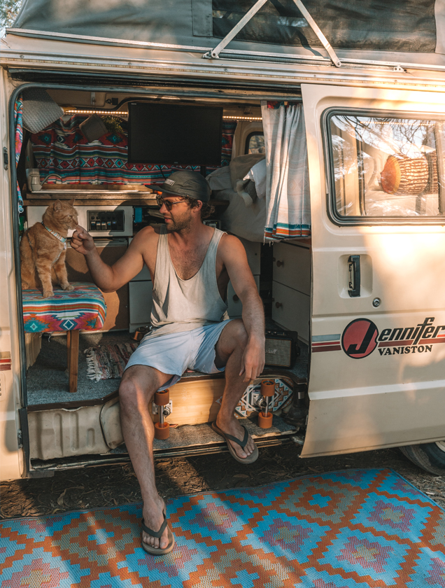 Marbles the travelling kitty getting pats 